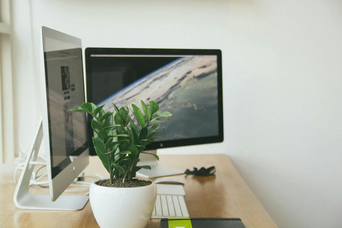 imac, plant,jbespoke